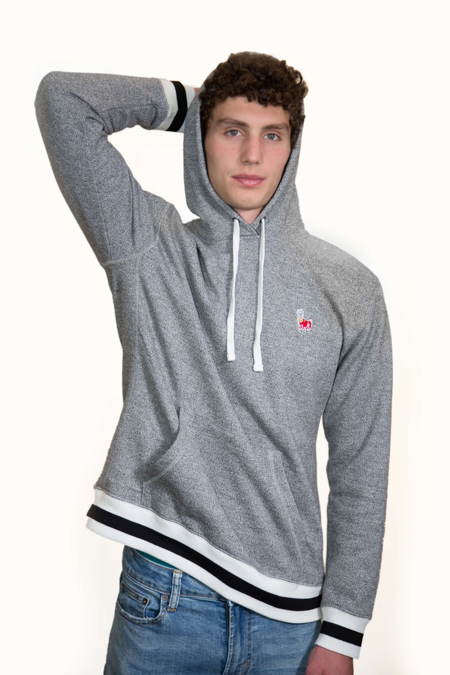 The Dressy Hoodie